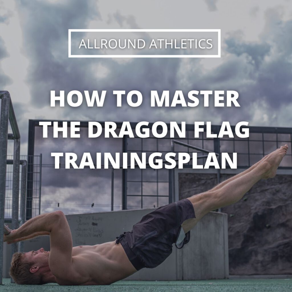 E-Book - How to Master the Dragonflag
