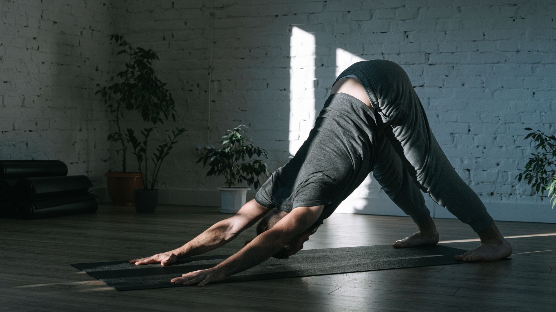 01 Herabschauender Hund - ©www.canva.com