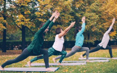 Der Yoga Krieger – Die Basis für mehr Stabilität